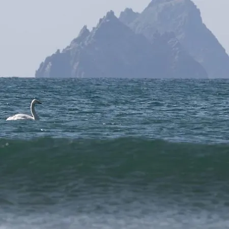 Skellig Port - 2 Bed * بورماغي