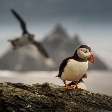 شقة Skellig Port - 2 Bed