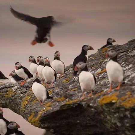 Skellig Port - 2 Bed *