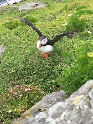 Skellig Port Accomodation - 2 Bed Apartment *