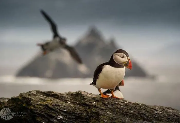 Daire Skellig Port Accomodation - 2 Bed Apartment