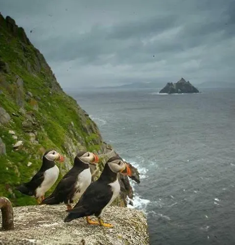 Skellig Port - 2 Bed * 포트마지