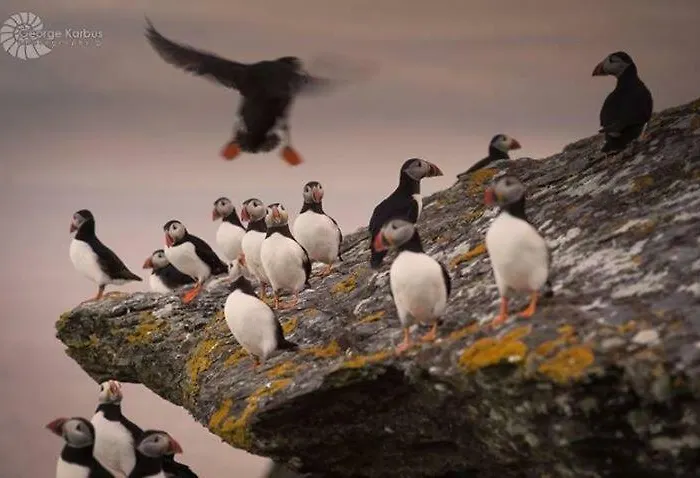 Skellig Port Accomodation - 2 Bed Apartment *