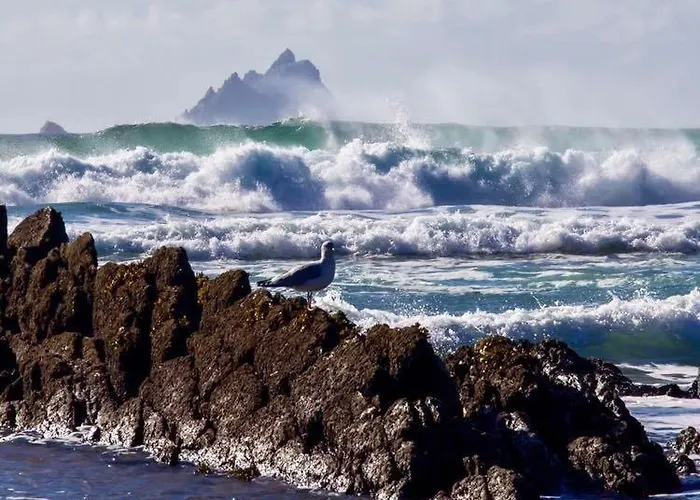 Skellig Port Accomodation - 2 Bed Apartment * Portmagee