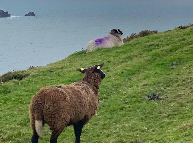 아파트 Skellig Port - 2 Bed 포트마지